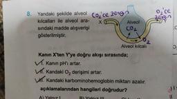 8. Yandaki şekilde alveol Co₂ce zengin
kılcalları ile alveol ara-
X
sındaki madde alışverişi
gösterilmiştir.
Alveol
CO₂
Kanın X'ten Y'ye doğru akışı sırasında;
✓. Kanın pH'ı artar.
V. Kandaki O₂ derişimi artar.
B) Yalnız !!!
Alveol kılcalı
Kandaki karbominohemoglobin miktarı azalır.
açıklamalarından hangileri doğrudur?
A) Yalnız I
2
0₂'ce
zengin
O
