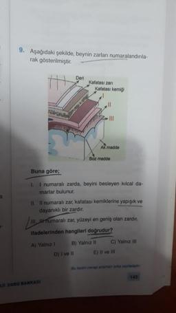 a
9. Aşağıdaki şekilde, beynin zarları numaralandırıla-
rak gösterilmiştir.
PALOY NO SUPOPTY
Deri
A) Yalnız I
DJI SORU BANKASI
Kafatası zarı
Kafatası kemiği
D) I ve II
III
Buna göre;
1. I numaralı zarda, beyini besleyen kılcal da-
marlar bulunur.
Ak madde
II. Il numaralı zar, kafatası kemiklerine yapışık ve
dayanıklı bir zardır.
III. numaralı zar, yüzeyi en geniş olan zardır.
ifadelerinden hangileri doğrudur?
B) Yalnız II
Boz madde
C) Yalnız III
E) II ve III
Bu testin cevap anahtan arka sayfadadie
145