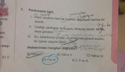 yarlar.
olay-
E) V
5.
Pankreasla ilgili,
Ipport
1. Hem sindirim hem de hormon salgılayan karma bir
Minsam
Tuplega
bezdir.
The b
II.
Ürettiği pankreas öz suyunu Wirsung kanalı ile
deye gönderir.
Selce STVLLI Ciretting
III. Su, bikarbonat iyonları ve sindirimde görevli enzim-
ler içeren salgılar üretir.
ifadelerinden hangileri doğrudur?
AYalnız
B) Yalnız II
(D) I've III
dret my
thry
C) Yalnız III
E) I, II ve III