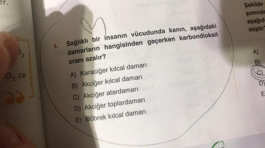 er.
2
0₂ ce
4. Sağlıklı bir insanın vücudunda kanın, aşağıdaki
damarların hangisinden geçerken karbondioksit
oranı azalır?
A) Karaciğer kılcal damarı
B) Akciğer kılcal damarı
C) Akciğer atardamarı
D) Akciğer toplardamarı
E) Böbrek kılcal damarı
Şekilde
şım