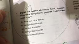 er.
2
0₂ ce
4. Sağlıklı bir insanın vücudunda kanın, aşağıdaki
damarların hangisinden geçerken karbondioksit
oranı azalır?
A) Karaciğer kılcal damarı
B) Akciğer kılcal damarı
C) Akciğer atardamarı
D) Akciğer toplardamarı
E) Böbrek kılcal damarı
Şekilde
şımında
aşağıda
miştir
A)
B)
D)
E
