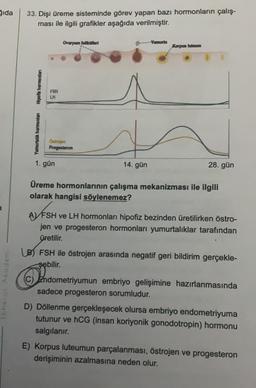 ğıda
Ephesus Akademi
33. Dişi üreme sisteminde görev yapan bazı hormonların çalış-
ması ile ilgili grafikler aşağıda verilmiştir.
Hipofiz hormonları
Yumurtalık hormonlan
FSH
LH
Ovaryum folikülleri
Östrojen
Progesteron
1. gün
14. gün
Yumurta
Korpus luteum
28. gün
Üreme hormonlarının çalışma mekanizması ile ilgili
olarak hangisi söylenemez?
AVFSH ve LH hormonları hipofiz bezinden üretilirken östro-
jen ve progesteron hormonları yumurtalıklar tarafından
üretilir.
LB) FSH ile östrojen arasında negatif geri bildirim gerçekle-
şebilir.
(C) Endometriyumun embriyo gelişimine hazırlanmasında
sadece progesteron sorumludur.
D) Döllenme gerçekleşecek olursa embriyo endometriyuma
tutunur ve hCG (insan koriyonik gonodotropin) hormonu
salgılanır.
E) Korpus luteumun parçalanması, östrojen ve progesteron
derişiminin azalmasına neden olur.