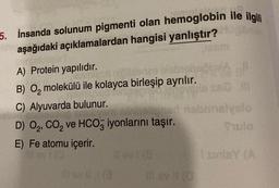 5. İnsanda solunum pigmenti olan hemoglobin ile ilgili
aşağıdaki açıklamalardan hangisi yanlıştır?
A) Protein yapılıdır.
Tesmisss nic
ničiltenze
B) O₂ molekülü ile kolayca birleşip ayrılır.
740
C) Alyuvarda bulunur.
D) O2, CO₂ ve HCO3 iyonlarını taşır.
E) Fe atomu içerir.
il ev 1 (0
Ill Gv 11 (3
16
..JI
aligned nabnnelyslo
I sinley (A