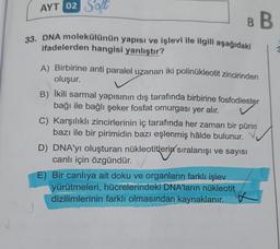 AYT 02 Soft
B B
33. DNA molekülünün yapısı ve işlevi ile ilgili aşağıdaki
ifadelerden hangisi yanlıştır?
A) Birbirine anti paralel uzanan iki polinükleotit zincirinden
oluşur.
B) İkili sarmal yapısının dış tarafında birbirine fosfodiester
fosfodiester
bağı ile bağlı şeker fosfat omurgası yer alır.
C) Karşılıklı zincirlerinin iç tarafında her zaman bir pürin
bazı ile bir pirimidin bazı eşlenmiş hâlde bulunur.
D) DNA'yı oluşturan nükleotitleri sıralanışı ve sayısı
canlı için özgündür.
E) Bir canlıya ait doku ve organların farklı işlev
yürütmeleri, hücrelerindeki DNA'ların nükleotit
dizilimlerinin farklı olmasından kaynaklanır.