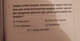 2. Yetişkin erkek bireyde üretrada hem sperm hem de
idrar aynı anda bulunuyorsa aşağıda verilen yapılar-
dan hangisinin görevini tam yerine getirmediği söy-
lenebilir?
A) Prostat bezi
(8
C) Vas deferens (0
B) Seminifer tüpçük
D) Epididimis
E) Leydig hücreleri