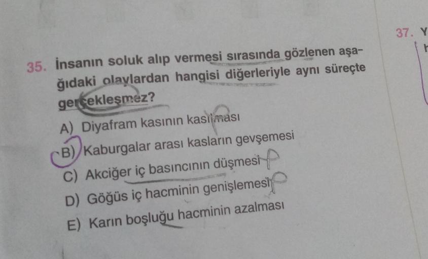 35. İnsanın soluk alıp vermesi sırasında gözlenen aşa-
ğıdaki olaylardan hangisi diğerleriyle aynı süreçte
gerçekleşmez?
A) Diyafram kasının kasılması
B) Kaburgalar arası kasların gevşemesi
C) Akciğer iç basıncının düşmesi
D) Göğüs iç hacminin genişlemesi
