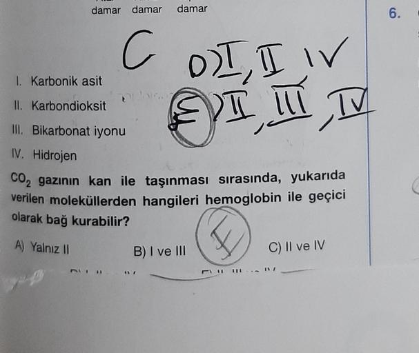 damar damar damar
C
IV
D) I, I
SIIT
TV
1. Karbonik asit
II. Karbondioksit
III. Bikarbonat iyonu
IV. Hidrojen
CO₂ gazının kan ile taşınması sırasında, yukarıda
verilen moleküllerden hangileri hemoglobin ile geçici
olarak bağ kurabilir?
A) Yalnız II
WANG
B)