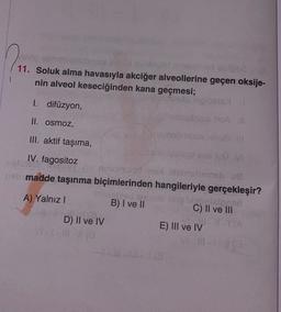 voto abruptestobriss
02-7yird rosenraid bilge a
11. Soluk alma havasıyla akciğer alveollerine geçen oksije-
nin alveol keseciğinden kana geçmesi;
losis
nemabiale noA #
Nasmeh isolii no6 111
1. difüzyon,
II. osmoz,
III. aktif taşıma,
um bisigat ons JeU.VI
IV. fagositoz
Peny
nimam nol biebishameblue
nsh madde taşınma biçimlerinden hangileriyle gerçekleşir?
Sungled
A) Yalnız I
idip etmizlenen
C) II ve III
D) II ve IV
VI-1-10-N (0
B) I ve II
E) III ve IV
V1-10-1-3 (0