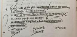 to
diperon rouge et
un
Kalp mide ve kol gibi organlardan alınan kas çeşitleri;
I. çekirdeğin hücredeki konumu
II. aktin ve miyozin filamentlerinin bantlaşması,
III. sinaps yaptığı sinir çeşitleri
özelliklerden hangilerine bakılarak kesinlikle
belirlenebilir?
6.
A) Yalnız la
D) I ve 11
B) Yalnız II
E) ve Ill
en
C) Yalnız III