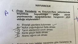 A
1. Doğu Karadeniz ve Erzurum-Kars bölümlerinde
büyükbaş hayvancılığın
yapılmasında
olduğu söylenebilir?
2014
HAYVANCILIK
A)
yaygın
olarak
aşağıdakilerden hangisinin etkili
Elverişli çayırların bulunması
BY Nüfus yoğunluğunun fazla olması
Tarım alanlarının sınırlı olması
DKente göçün fazla olması
Akarsu ağının sık olması
halıklar mevsimine göre Karadeniz ile