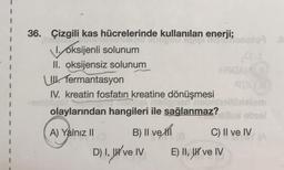 I
I
36. Çizgili kas hücrelerinde kullanılan enerji;
1. oksijenli solunum
II. oksijensiz solunum
U fermantasyon
IV. kreatin fosfatın kreatine dönüşmesi
olaylarından hangileri ile sağlanmaz?
A) Yalnız II
B) II ve I
D) I, I've IV
HAGAM
C) II ve IV
E) II, II ve IV
07 0