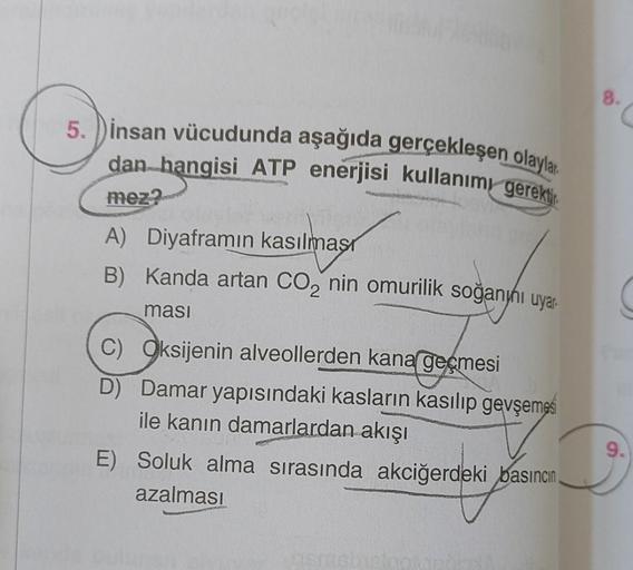 5. İnsan vücudunda aşağıda gerçekleşen olayla
dan hangisi ATP enerjisi kullanımı gerekti
mez?
A) Diyaframın kasılması
B) Kanda artan CO₂ nin omurilik soğanını uyar
masi
C) Oksijenin alveollerden kana geçmesi
D) Damar yapısındaki kasların kasılıp gevşemesi
