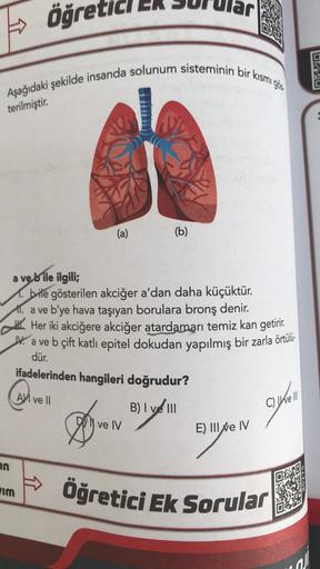 Aşağıdaki şekilde insanda solunum sisteminin bir kısmı gös
terilmiştir.
in
öğr
öğretic
im
(a)
a ve bile ilgili;
1. bile gösterilen akciğer a'dan daha küçüktür.
a ve b'ye hava taşıyan borulara bronş denir.
Her iki akciğere akciğer atardamarı temiz kan getir