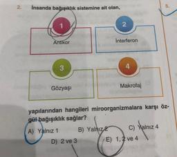 2.
İnsanda bağışıklık sistemine ait olan,
1
Antikor
3
Gözyaşı
D) 2 ve 3
2
B) Yalnız 2
İnterferon
4
Makrofaj
yapılarından hangileri miroorganizmalara karşı öz-
gül bağışıklık sağlar?
A) Yalnız 1
C) Yalnız 4
5.
E) 1, 2 ve 4