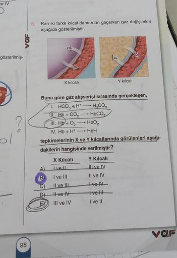 ve IV
gösterilmiş-
ol
UDA
98
8.
Kan iki farklı kılcal damardan geçerken gaz değişimleri
aşağıda gösterilmiştir.
CO₂
A)
B
X kılcali
Buna göre gaz alışverişi sırasında gerçekleşen,
I. HCO3 + H+
11. Hb + CO₂
III. Hb + O₂
IV. Hb + H+
C)
D)
EX
H₂CO3
X Kılcali
I