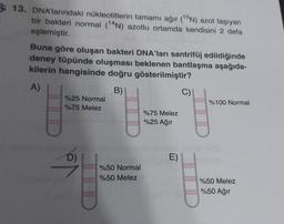 13. DNA'larındaki nükleotitlerin tamamı ağır (15N) azot taşıyan
bir bakteri normal (14N) azotlu ortamda kendisini 2 defa
eşlemiştir.
Buna göre oluşan bakteri DNA'ları santrifüj edildiğinde
deney tüpünde oluşması beklenen bantlaşma aşağıda-
kilerin hangisinde doğru gösterilmiştir?
A)
B)
%25 Normal
%75 Melez
D)
IIID
%50 Normal
%50 Melez
%75 Melez
%25 Ağır
E)
C)
%100 Normal
%50 Melez
%50 Ağır