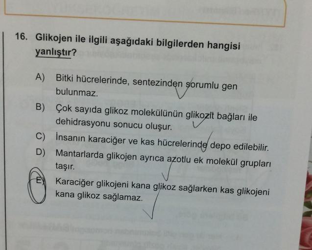 16. Glikojen ile ilgili aşağıdaki bilgilerden hangisi
yanlıştır?
A) Bitki hücrelerinde, sentezinden sorumlu gen
bulunmaz.
B) Çok sayıda glikoz molekülünün glikozit bağları ile
dehidrasyonu sonucu oluşur.
C) İnsanın karaciğer ve kas hücrelerinde depo edileb