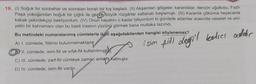 19. (1) Soğuk bir sonbahar ve sonraları boralı bir kış başladı. (II) Akşamları gölgeler, karanlıklar, denizin uğultusu, Fazlı
Paşa yokuşundan boğuk bir çığlık ile geçen büyük rüzgârlar saltanatı başlamıştı. (III) Karanlık çökünce heyecanla
kabak çekirdekçiyi bekliyordum. (IV) Onun hayatını o kadar biliyordum ki gündelik adamlar arasında cesaret ve ulvi-
yetin bir kahramanı olan bu basit insanın yüzünü görmek bana mutlaka lazımdı.
Bu metindeki numaralanmış cümlelerle ilgili aşağıdakilerden hangisi söylenemez?
A) I. cümlede, fiilimsi bulunmamaktadır.
II. cümlede, isim-fiil ve sıfat-fiil kullanılmışt
C) III. cümlede, zarf-fiil cümleye zaman anlamı Katmıştır.
D) IV. cümlede, isim-fiil vardır.
isim fill değil kalıcı addır