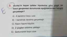 E
3. Huxley'in kayan iplikler hipotezine göre çizgili bir
kasın gevşemesi durumunda aşağıdakilerden hangisi
gerçekleşir?
A) A bandının boyu uzar.
B) I bandında daralma gerçekleşir.
C) Kasın hacmi küçülür.
D) Z çizgileri birbirine yaklaşır.
E) Sarkomenin boyu uzar.