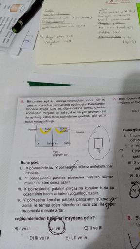 20
seviyesindeki
Belirli bir zaman aralı
ekimi yapılmıştır.
bulunan bir kültür ortamın
glikoz ve laktoz
bring
Patates
KURS
Turyal denemest
ALL
Torkar denemesi..
Cool Starflentina 26 (by 16)
X
Monye
Dalgaler
Tuzlu
su
dagen 22 (abzy)
tizma (68)
(68)
5. Bir p