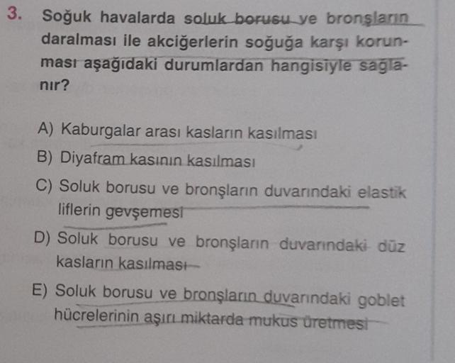 3. Soğuk havalarda soluk borusu ve bronşların
daralması ile akciğerlerin soğuğa karşı korun-
ması aşağıdaki durumlardan hangisiyle sağla-
nır?
A) Kaburgalar arası kasların kasılması
B) Diyafram kasının kasılması
C) Soluk borusu ve bronşların duvarındaki el