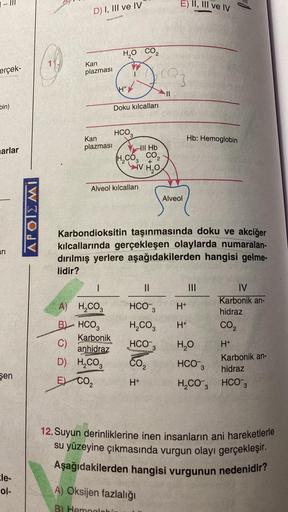 erçek-
bin)
marlar
arı
şen
le-
ol-
APOIEMI
D) I, III ve IV
Kan
plazması
Kan
plazması
H,O CO,
|
H₂CO3
HCO3
Karbonik
anhidraz
1.H+
A)
B
C)
D) H₂CO3
E) CO₂
Alveol kılcalları
Doku kılcalları
HCO3
Hll Hb
H₂CO3 CO₂
+
V H₂O
(03
·||
E) II, III ve IV
Karbondioksiti