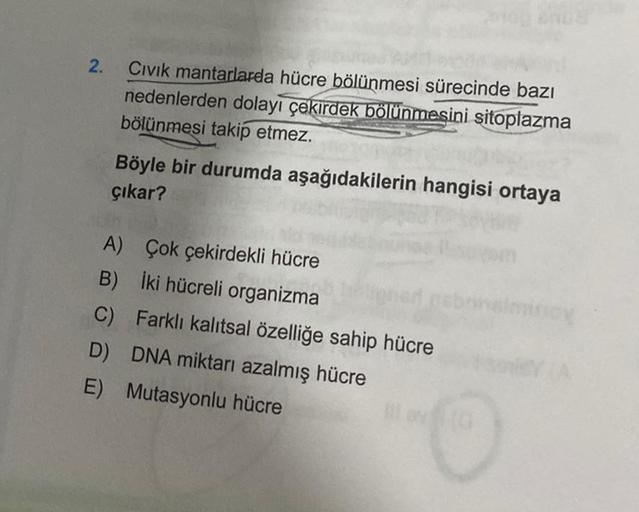 2.
Civik mantarlarda hücre bölünmesi sürecinde bazı
nedenlerden dolayı çekirdek bölünmesini sitoplazma
bölünmesi takip etmez.
Böyle bir durumda aşağıdakilerin hangisi ortaya
çıkar?
A) Çok çekirdekli hücre
B) İki hücreli organizma
C)
D) DNA miktarı azalmış 