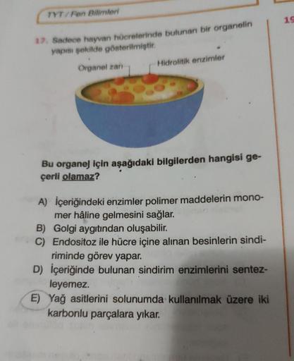 TYT/Fen Bilimleri
17. Sadece hayvan hücrelerinde bulunan bir organelin
yapısı şekilde gösterilmiştir.
Organel zan
Hidrolitik enzimler
Bu organel için aşağıdaki bilgilerden hangisi ge-
çerli olamaz?
A) İçeriğindeki enzimler polimer maddelerin mono-
mer hâli