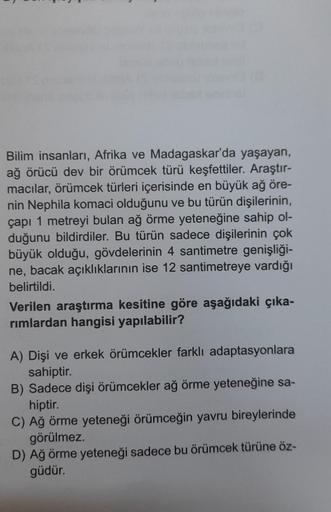 Bilim insanları, Afrika ve Madagaskar'da yaşayan,
ağ örücü dev bir örümcek türü keşfettiler. Araştır-
macılar, örümcek türleri içerisinde en büyük ağ öre-
nin Nephila komaci olduğunu ve bu türün dişilerinin,
çapı 1 metreyi bulan ağ örme yeteneğine sahip ol