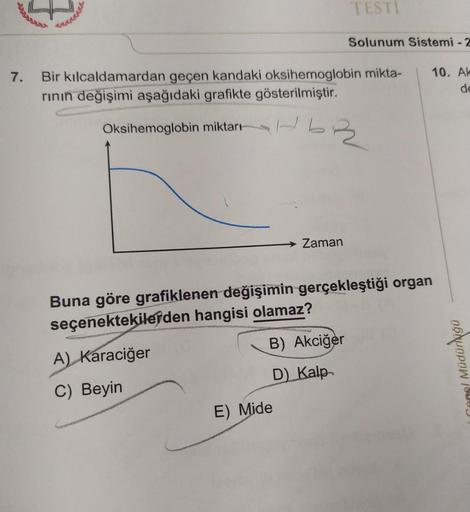 FERRARA
7. Bir kılcaldamardan geçen kandaki oksihemoglobin mikta-
rının değişimi aşağıdaki grafikte gösterilmiştir.
Oksihemoglobin miktarı
A) Karaciğer
C) Beyin
Zaman
TESTI
B) Akciğer
D) Kalp
E) Mide
Solunum Sistemi - 2
Buna göre grafiklenen değişimin gerç