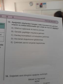 B
etkin
eri
zda
7
B
B
FEN BİLİMLERİ
15. Aşağıdaki olaylardan hangisi, bitki hücrelerinde görülen
mayoz ve mitoz bölünmeler için ortak bir durum değildir?
A) DNA'nın eşlenerek iki katına çıkması
B) Genetik çeşitliliğin meydana gelmesi
C) Kardeş kromatitlerin zıt kutuplara çekilmesi
D) Ara lamel oluşumunun gözlenmesi
E) Çekirdek zarının eriyerek kaybolması
16. Doğadaki azot döngüsü aşağıda verilmiştir.
Bitkisel ve hayvansal
atıklar
X canlısı