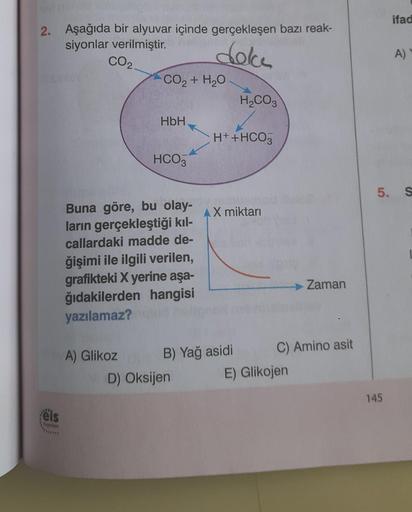 2. Aşağıda bir alyuvar içinde gerçekleşen bazı reak-
siyonlar verilmiştir.
dok
CO₂.
els
Yonnien
CO2+H2O
A) Glikoz
HbH
HCO3
Buna göre, bu olay-
ların gerçekleştiği kıl-
callardaki madde de-
ğişimi ile ilgili verilen,
grafikteki X yerine aşa-
ğıdakilerden ha