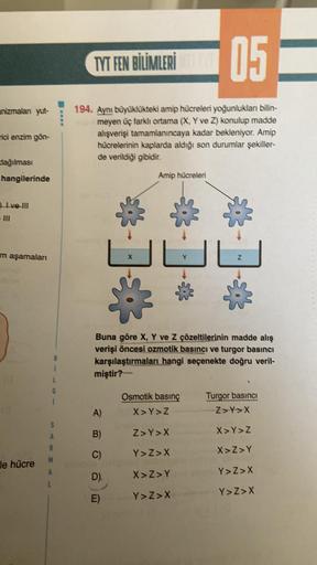 anizmalan yut-
rici enzim gön-
dağılması
hangilerinde
Ive-lll
m aşamaları
1
S
A
R
M
le hücre
TYT FEN BİLİMLERİ
194. Aynı büyüklükteki amip hücreleri yoğunlukları bilin-
meyen üç farklı ortama (X, Y ve Z) konulup madde
alışverişi tamamlanıncaya kadar beklen