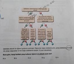 B
Naftalinin süblimleşmesi endotermik bir
olaydır.
B) b
Saf bir maddenin donması
sırasında potansiyel ener-
jisi azalır.
Moleküller
arası çekim
kuvvetleri bü-
yük olan mad-
delerin erime
ve kaynama
noktalan daha
düşüktür.
4S1
ahir
Kati ta-
necikleri
sadece
titreşim
hareketi
yapar.
Isi alon
Yaz aylarında ortamın
serinlemesi için yerlerin
sulanması olayında düzen-
sizlik artar.
En düzensiz
hâlde bulunan
bir madde hâl
değiştirdiğinde
taneciklerinin
enerjisi azalır.
Kati ve
Sivilar
sıkıştırıla-
mazlar.
Şekildeki etkinlik bir öğrenci grubuna verilmiştir. Öğrenciler doğru bildiklerine (D), yanlış bildiklerine (Y) diye-
rek çıkışa ulaşacaklar ve her doğru bildiklerine karşılık 10 puan alacaklardır.
Buna göre, hangi harfteki çıkışı kullanan öğrenci en yüksek puanı alır?
C) d
D) g
A) a
E) h