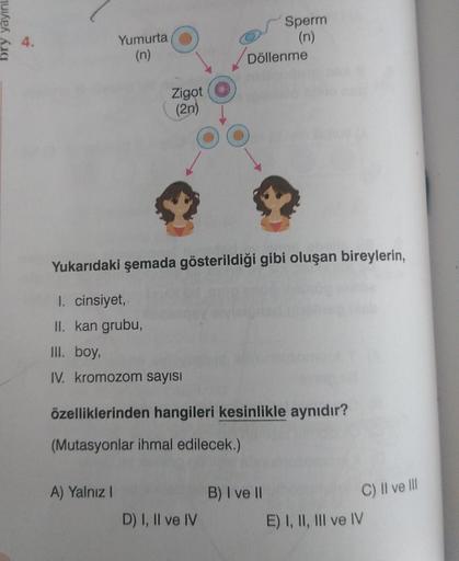 bry yayınl
4.
Yumurta
(n)
Zigot
(2n)
I. cinsiyet,
II. kan grubu,
III. boy,
IV. kromozom sayısı
A) Yalnız !
Yukarıdaki şemada gösterildiği gibi oluşan bireylerin,
Sperm
(n)
Döllenme
özelliklerinden hangileri kesinlikle aynıdır?
(Mutasyonlar ihmal edilecek.)