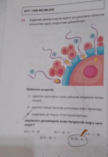 AYT/FEN BİLİMLERİ
39. Aşağıdaki şekilde insanda sperm ve yumurtanın döllenme
sonucunda zigotu oluşturması gösterilmiştir.
Döllenme sırasında
spermin yumurtanın zona pellucida bölgesine temas
etmesi,
II. spermin fallopi tüpünde yumurtaya doğru ilerlemesi,
o