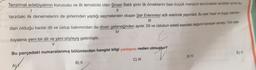 Tanzimat edebiyatının kurucusu ve ilk temsilcisi olan Şinasi Batılı şiirin ilk örneklerini bazı küçük manzum tercümelerle verdikten sonra bu
11
1
tarzdaki ilk denemelerini de şiirlerinden yaptığı seçmelerden oluşan Şair Evlenmesi adlı eserinde yayımladı. Bu eser, hayal ve duygu bakımın
dan olduğu kadar dil ve üslup bakımından da divan geleneğinden ayrılır. Dil ve üslubun edebi eserdeki değerini kavrayan sanatçı, Türk ede-
IV
c
mong biyatına yeni bir dil ve yeni söyleyiş getirmiştir.
V
Bu parçadaki numaralanmış bölümlerden hangisi bilgi yanlışına neden olmuştur?
magyun
B) II
C) III
D) IV
E) V