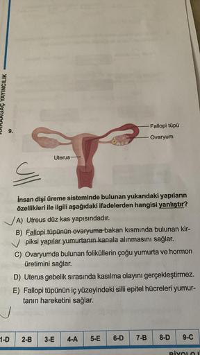 YAYINCILIK
9.
1-D
Uterus
Fallopi tüpü
Ovaryum
S
İnsan dişi üreme sisteminde bulunan yukarıdaki yapıların
özellikleri ile ilgili aşağıdaki ifadelerden hangisi yanlıştır?
A) Utreus düz kas yapısındadır.
B) Fallopi tüpünün ovaryuma bakan kısmında bulunan kir-