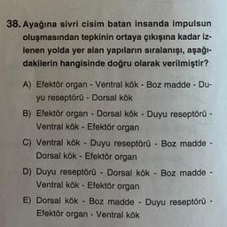 38. Ayağına sivri cisim batan insanda impulsun
oluşmasından tepkinin ortaya çıkışına kadar iz-
lenen yolda yer alan yapıların sıralanışı, aşağı-
dakilerin hangisinde doğru olarak verilmiştir?
A) Efektör organ - Ventral kök - Boz madde - Du-
yu reseptörü - Dorsal kök
B) Efektör organ - Dorsal kök - Duyu reseptörü -
Ventral kök - Efektör organ
C) Ventral kök - Duyu reseptörü - Boz madde -
Dorsal kök Efektör organ
D) Duyu reseptörü - Dorsal kök - Boz madde
Ventral kök - Efektör organ
E) Dorsal kök - Boz madde - Duyu reseptörü -
Efektör organ - Ventral kök