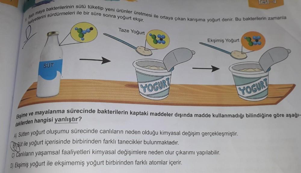 & Bazı maya bakterilerinin sütü tüketip yeni ürünler üretmesi ile ortaya çıkan karışıma yoğurt denir. Bu bakterilerin zamanla
faaliyetlerini sürdürmeleri ile bir süre sonra yoğurt ekşir.
SÜT
Taze Yoğurt
YOGURT
Ekşimiş Yoğurt
Test-4
YOGURT
mayalanma sürecin
