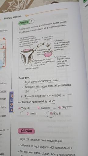 ÜREME SİSTEMİ
lü aşağı-
hormon)
on
Negatif geri bildirim
pildirim-
monlar
ormon
bulu-
negatif
ve tit
V
yara-
APOIEMI
ÖRNEK 5
Embriyonun uterusa gömülmesine kadar geçen
sürede gerçekleşen olaylar ve gömülmesi şöyledir.
5. Top içindeki hücreler,
döl kanalınd