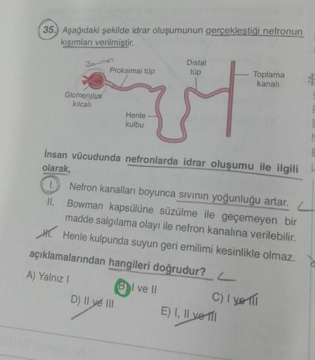 35. Aşağıdaki şekilde idrar oluşumunun gerçekleştiği nefronun
kısımları verilmiştir.
Bowmen
II.
Glomerulus
kılcalı
Proksimal tüp
Henle
kulbu
Distal
tüp
İnsan vücudunda nefronlarda idrar oluşumu ile ilgili
olarak,
D) II ve III
Nefron kanalları boyunca sıvın