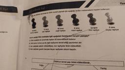 Kod
lediğinde
emleri dersinde bir DNA modeli yapmak için aşağıda verilen malzemelerin hepsini kullanıyor.
12 tane
san raptiye
40 tane
yeşil raptiye
8 tane
mavi raptiye
Doğru
lam raptiye
Amar'in yaptığ DNA modellyle ilgili aşağıdaki ifadelerden hangisi yanlıştır?
ADNA modelinin bir zincirinde toplam 20 tane-nukleotit bulunur.
BDNA ismini, kırmızı ya da yeşil raptiyenin temsil ettiği yapılardan alır.
San raptiyeler adenin nükleotitiyse, mor raptiyeler timin nükleotitidir.
D) Mavi raptiyeler guanin bazıysa beyaz raptiyeler sitozin bazıdır.
12 fane
mor raptiye
DNA'nin temel yapı birimi nukleotitlerdir.
8 tane
beyaz raptiye
Yanlış