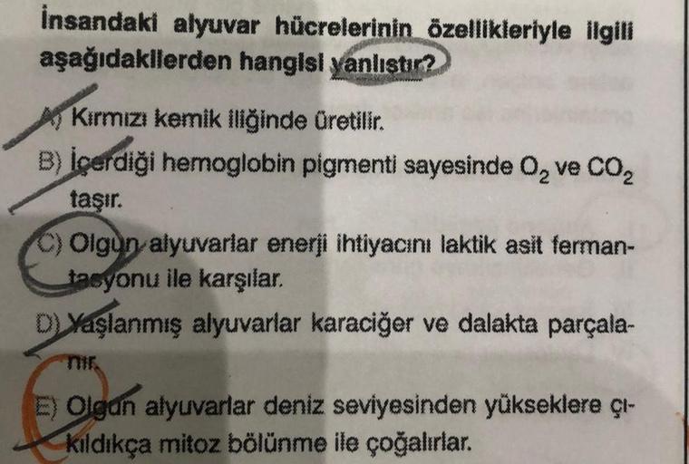 İnsandaki alyuvar hücrelerinin özellikleriyle ilgili
aşağıdakilerden hangisi yanlıştır?
A) Kırmızı kemik iliğinde üretilir.
B) İçerdiği hemoglobin pigmenti sayesinde O₂ ve CO₂
taşır.
C) Olgun alyuvarlar enerji ihtiyacını laktik asit ferman-
tasyonu ile kar