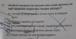 6.
Sindirim kanalının bir parçası olan yutak (farinks) ile
ilgili aşağıdaki bilgilerden hangisi yanlıştır?
A) Yemek ve soluk borusu olmak üzere iki bölgeye
açılır.
B) Mukoza tabakası ile kaplıdır.
C) Kıkırdak yapıl gtlak kapağı (epiglottis) bulundurur.
Besinlerin fiziksel sindirimini devam ettirir.
E) Östaki borusu ile orta kulağa bağlanır.