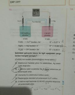 ÇAP/AYT
10.
Co-
1 M Co(NO3)2
çözeltisi
a kabi
B
Tuz köprüsü
1 M HCI
çözeltisi
b kabi
Co²+(suda) + 2e
Co(k)
E° = 0,27 V
Ag(k) Ag (suda)+ e
E° = -0,80 v
H₂(g) → 2H*(suda) + 2e¯
E° = 0,00 V
Şekildeki galvanik hücre ile ilgili aşağıdaki yargı-
lardan hangisi yanlıştır?
Ag
(Cos(k) nin sudaki çözünürlüğünü ihmal ediniz.)
Elektronun hareket yönü Co elektrottan, Ag elekt-
roda doğrudur.
B) a kabina sabit sıcaklıkta Na₂S katısı eklenirse pil
potansiyeli artar.
Zamanla Co elektrodun kütlesi azalır.
DY Başlangıçta standart pil potansiyeli 0,27 volttur.
E) b kabına eşit hacimde 0,5 M HCI çözeltisi eklenirse
H+
pil potansiyeli artar.
12H¹ - Re
-t
Za
A
12.
B
ya
A
B)
C)
D)
E)