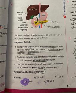 Uyar
na bağlı d
ştir.
de etmek
yanıtın
olduğu 3
C) I vel
10.E
ari.com
2.
Kaledok
kanalı
Safra
kesesi
Vater
kabarcığı
Onikiparmak
bağırsağı
Karaciğer
Mide
Pankreas
Yukarıdaki şekilde, sindirim kanalının bir bölümü ve sindi-
rime yardımcı bazı yapılar gösterilmiştir.
Bu yapılar ile ilgili,
Wirsung kanalı
D) I ve III
1. Karaciğerde üretilip, safra kesesinde depolanan safra
koledok kanalı ile onikiparmak bağırsağının vater
kabarcığı bölgesine dökülür.
II. Pankreas, kandaki glikoz miktarının düzenlenmesinde
görevli hormonları wirsung kanalına salgılar.
B) Yalnız III
III. Onikiparmak bağırsağı tarafından üretilen kolesistoki-
nin hormonu, pankreası ve safra kesesini uyarır.
yargılarından hangileri doğrudur?
A) Yalnız II
✔FEN BİLİMLERİ Y
E) II ve III
C) I ve II
5.
6.
63
Insan
si, ye
salgı
5 1
Sa
dä
11
I