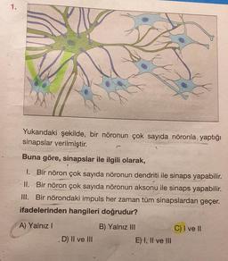 1.
Yukarıdaki şekilde, bir nöronun çok sayıda nöronla yaptığı
sinapslar verilmiştir.
Buna göre, sinapslar ile ilgili olarak,
1. Bir nöron çok sayıda nöronun dendriti ile sinaps yapabilir.
II. Bir nöron çok sayıda nöronun aksonu ile sinaps yapabilir.
III. Bir nörondaki impuls her zaman tüm sinapslardan geçer.
ifadelerinden hangileri doğrudur?
A) Yalnız I
B) Yalnız III
D) II ve III
E) I, II ve III
C) I ve II