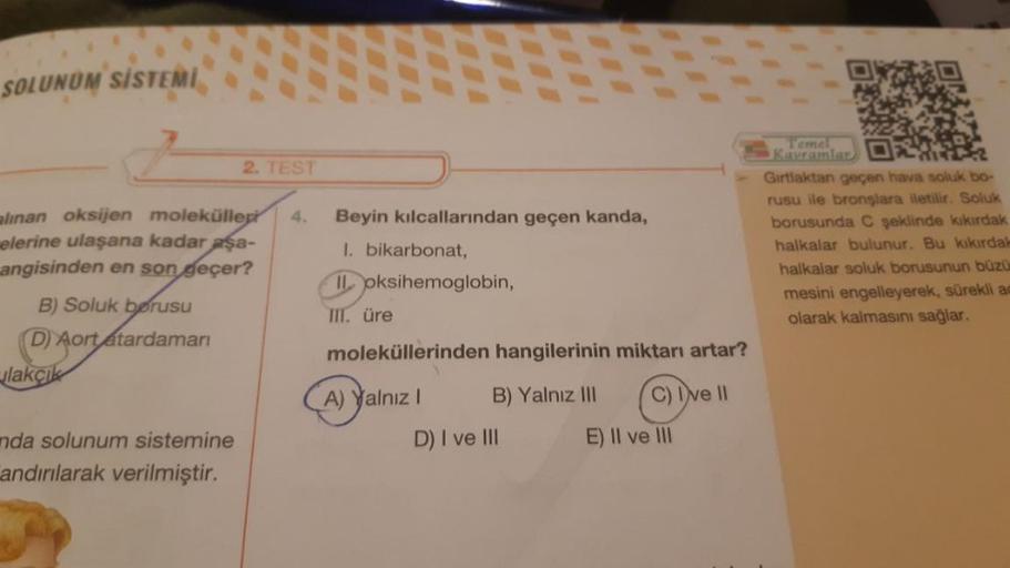 SOLUNUM SİSTEMİ
alınan oksijen moleküller 4.
elerine ulaşana kadar aşa-
angisinden en son geçer?
B) Soluk borusu
D) Aort atardamarı
lakçık
2. TEST
nda solunum sistemine
andırılarak verilmiştir.
Beyin kılcallarından geçen kanda,
1. bikarbonat,
Iloksihemoglo