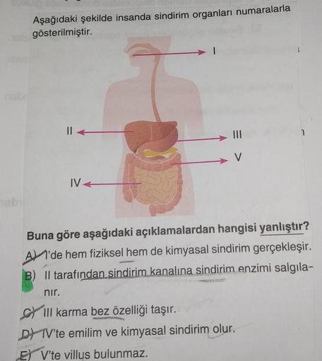 Aşağıdaki şekilde insanda sindirim organları numaralarla
gösterilmiştir.
||
IV4
1
Buna göre aşağıdaki açıklamalardan hangisi yanlıştır?
A'de hem fiziksel hem de kimyasal sindirim gerçekleşir.
B) II tarafından sindirim kanalına sindirim enzimi salgıla-
nır.